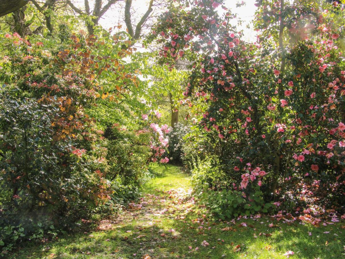 ברידג'נורת' The Garden Lodge מראה חיצוני תמונה
